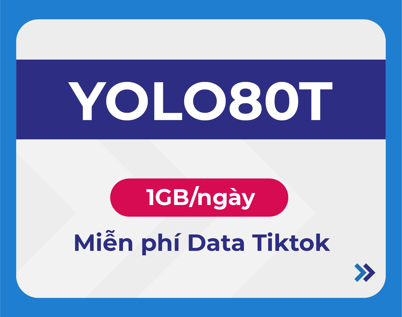 YOLO80T